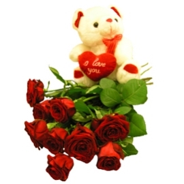 Bear & Hot Roses (7 Roses)