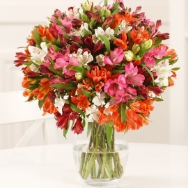 71 Colorful Blooms In Vase (No Vase)