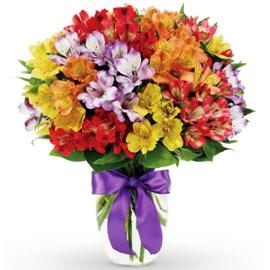 Celebration With 35 Alstromeria (No Vase)