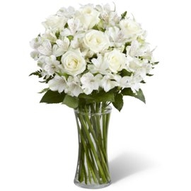 White Elegance (No Vase)