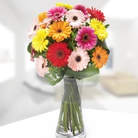 Gerbera Wishes (No Vase)