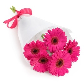 Happy Pink Gerberas (5 Gerberas)