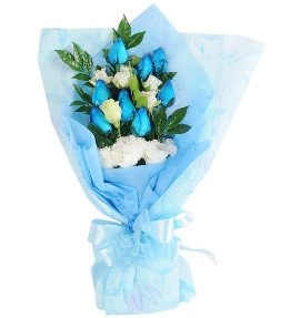 Cute Blue And White Roses (21 Blue and White Roses)