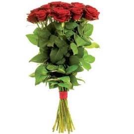 Red Regal Roses (15 Roses)