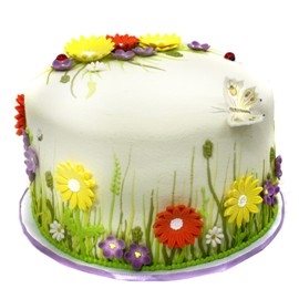 Happy Cake (15 persons / diameter 25 cm)