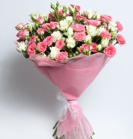 Colours Splendour (25 Stems)