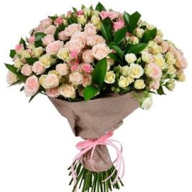 Creamy White (35 Stems)