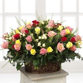 Basket Of Dreams