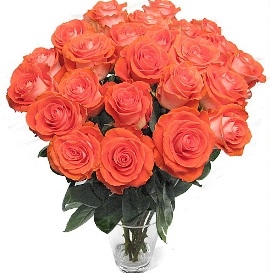 Bouquet Of 37 Peach Roses (No Vase)