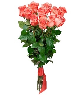 Blushing Roses Bouquet (15 Roses)