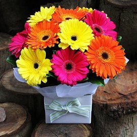 Box Of Sunshine