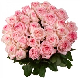 Alluring Bouquet (35 Roses)