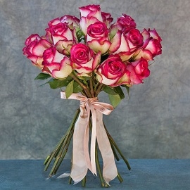 Furious Roses (19 Roses)