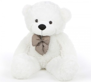 White Teddy (Medium - 35 cm)