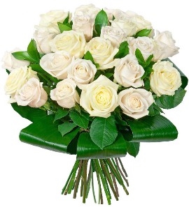 Elegant Rush (31 Roses)