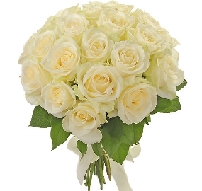 Snow-White Roses (27 Roses)