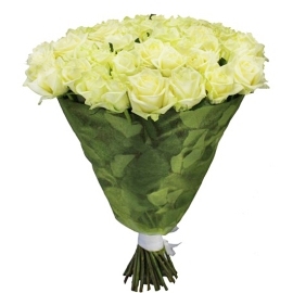 White Wonder (25 Roses)