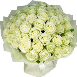 51 Extra-Large White Roses (51 Roses)