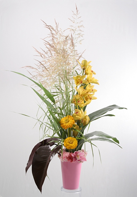 High Still Life - 36114