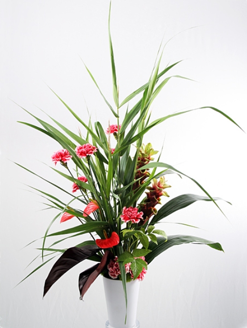 High Still Life - 36115