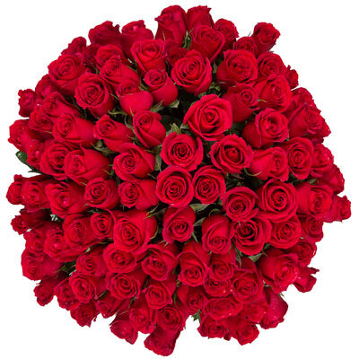 100 red roses