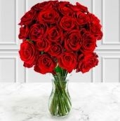 Two Dozen Red Roses