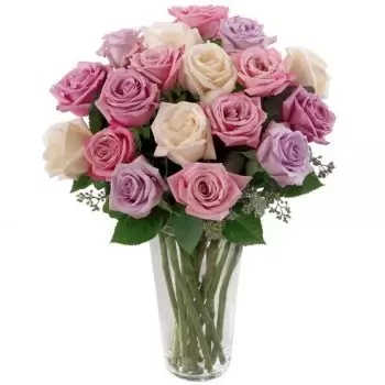 18 Mixed Roses (Standard)