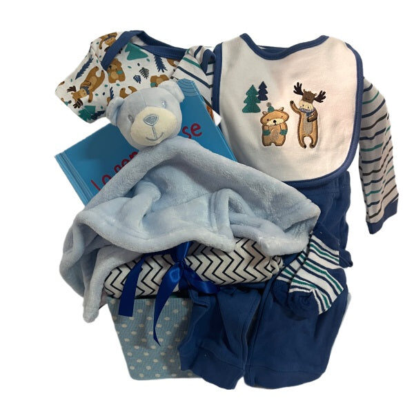Baby Boy Gift Basket