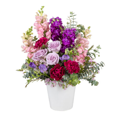Spring Snapdragons (Standard)