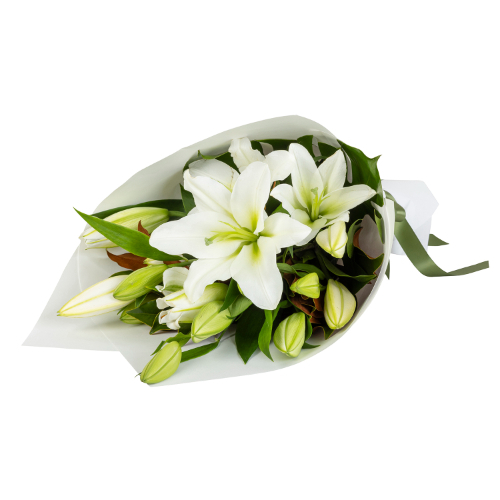Pure Lilies