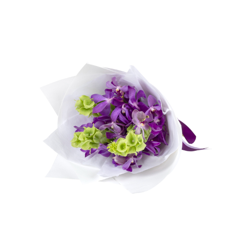 Purple Orchid