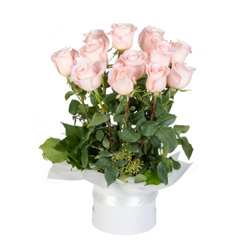 Rose Lover in Pink