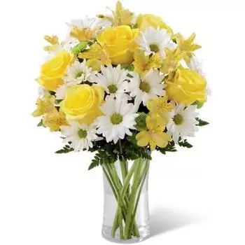 10 Roses, 10 Daisies, 7 Astemaria (Standard)