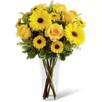 4 Roses and 15 Gerberas (Standard)