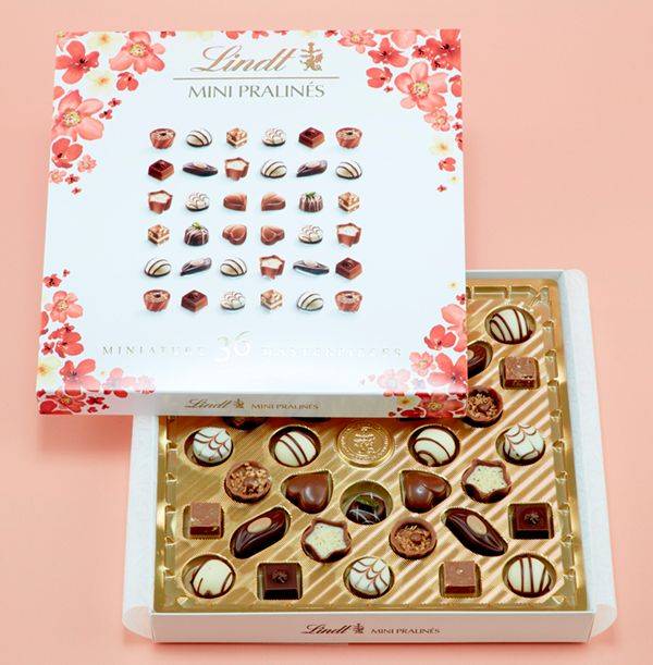 Lindt Mini Pralines Chocolate Box