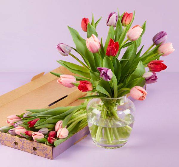 The Berry Bloom Tulips Letterbox