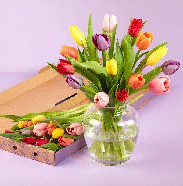 The Mother's Day Tulip Medley Letterbox