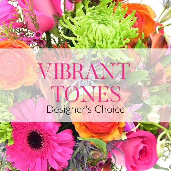 Vibrant Tones Designer's Choice