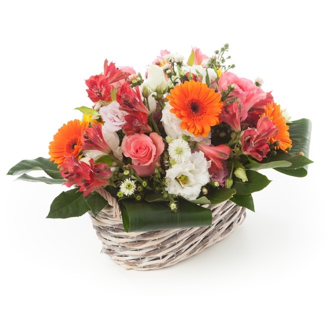 Basket Of Roses And Gerberas (Standard)