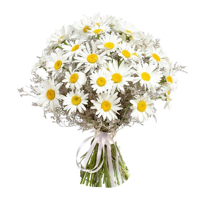 bouquet of daisies (Standard)