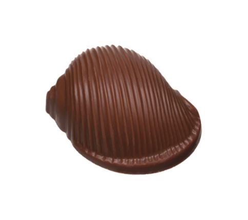 Escargot Milk Chocolate