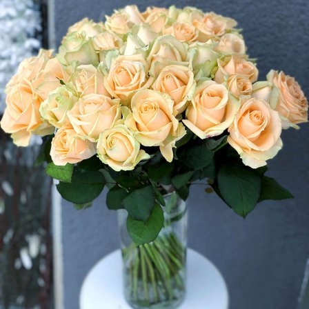 Rose Peach