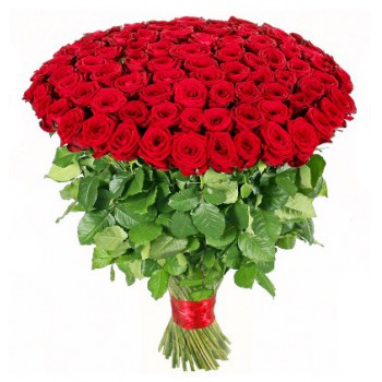 30 Red Roses (Standard)