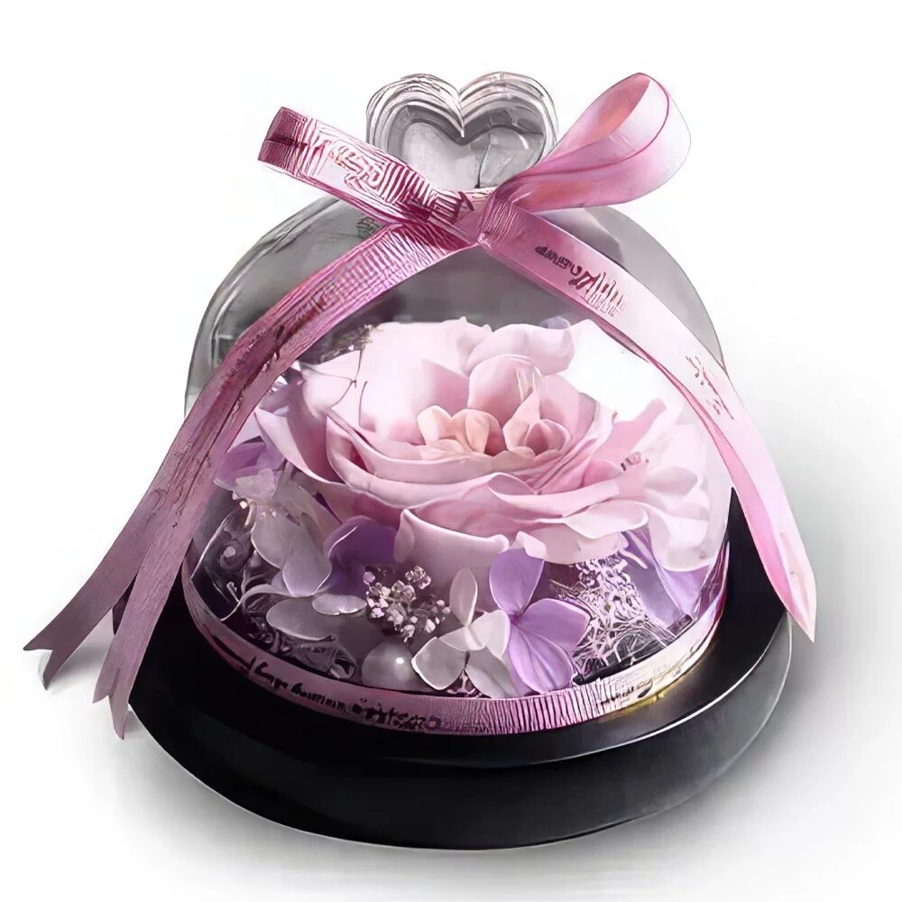 Preserved Pink Rose Beauty
