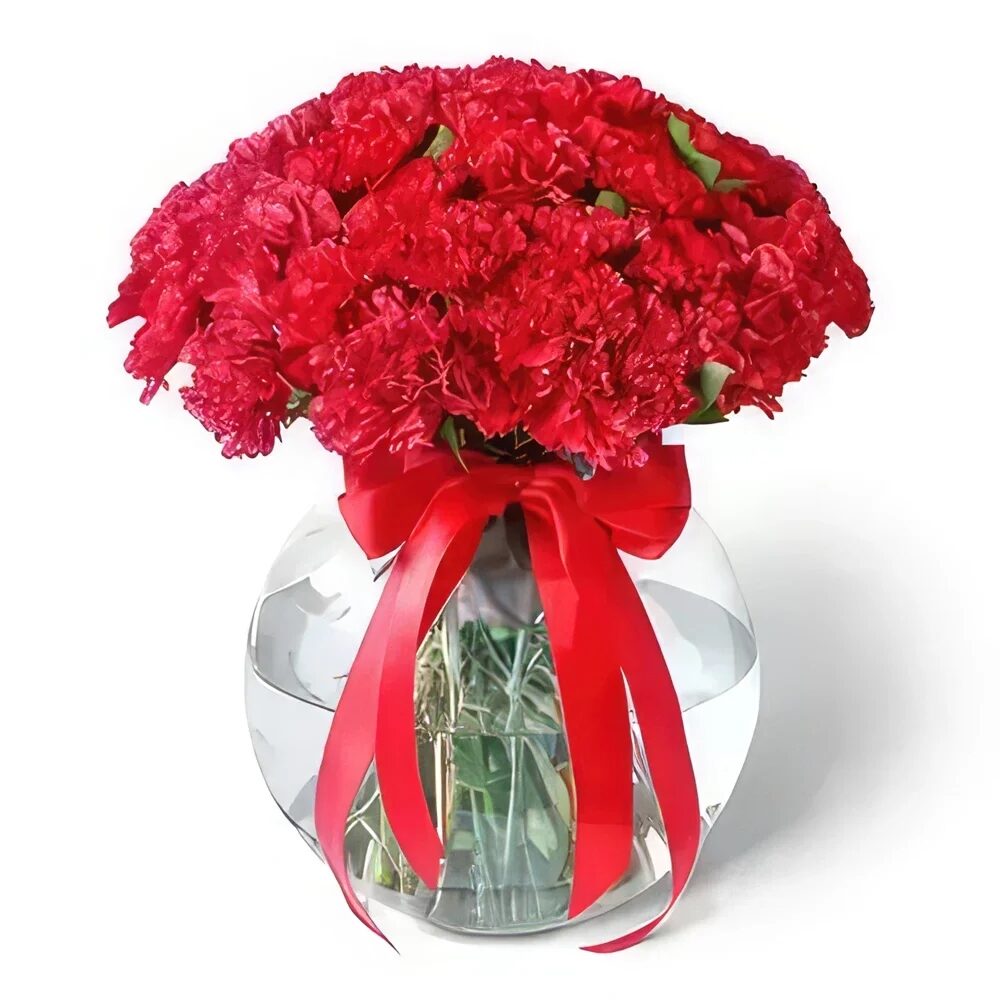 Red Carnation in Fish-Bowl