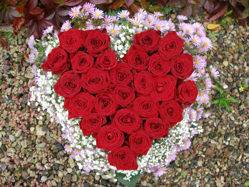 Heart-Shaped Arrangement "Loving Heart", Red Roses