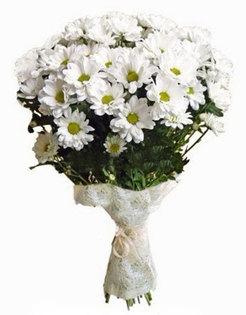 Bouquet Of Flowers 7 White Сhrysanthemums