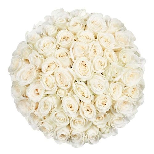 50 Premium white Roses | Grower