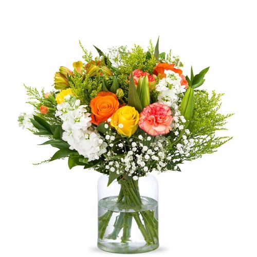 Tropical Plant Bundle