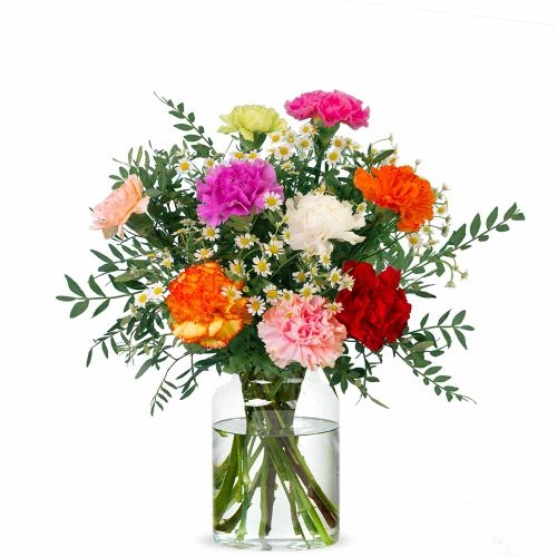 Happy Carnations